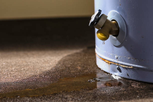 Best Sewage cleanup and water damage restoration  in Lake Mathews, CA