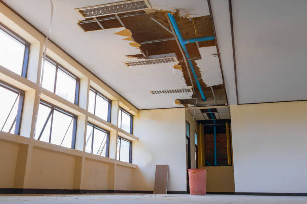Best Ceiling water damage repair  in Lake Mathews, CA
