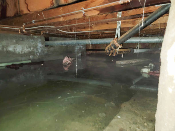  Lake Mathews, CA Water damage restoration Pros