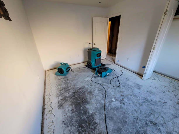 Best Basement water damage restoration  in Lake Mathews, CA