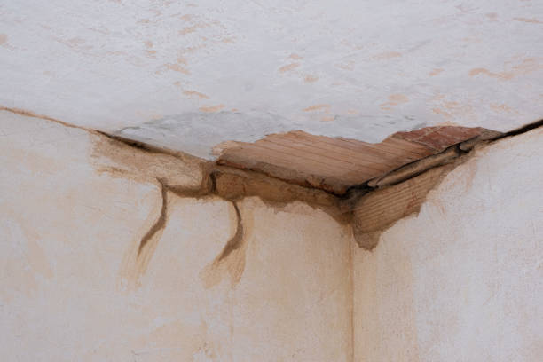 Best Water damage restoration specialists  in Lake Mathews, CA