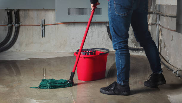 Best Basement water damage restoration  in Lake Mathews, CA