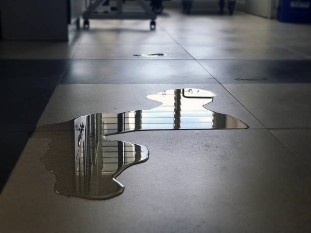 Best Local water damage restoration  in Lake Mathews, CA