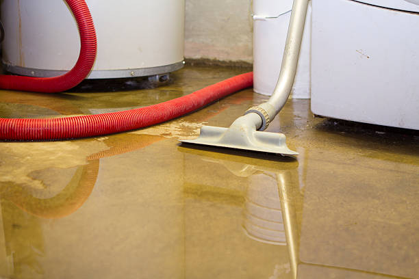 Best Flooded house restoration  in Lake Mathews, CA