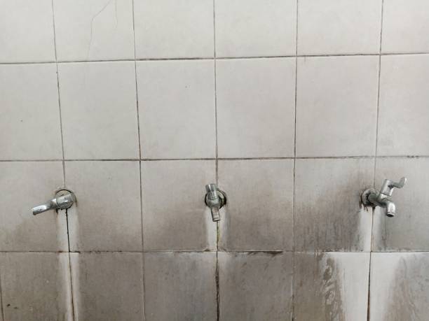 Best Emergency water damage restoration  in Lake Mathews, CA
