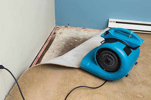 Best Ceiling water damage repair  in Lake Mathews, CA